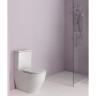 Смывной бачок LAUFEN PRO 8.2995.3.000.873.1